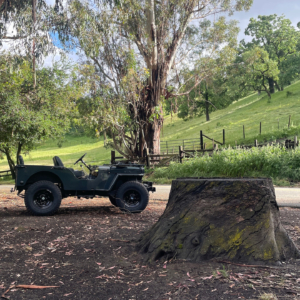 Harman Banga 1948 CJ 2A_4