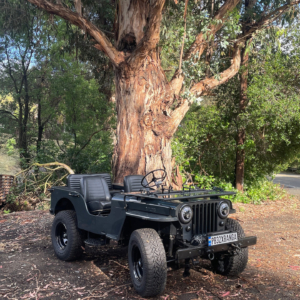 Harman Banga 1948 CJ 2A_5