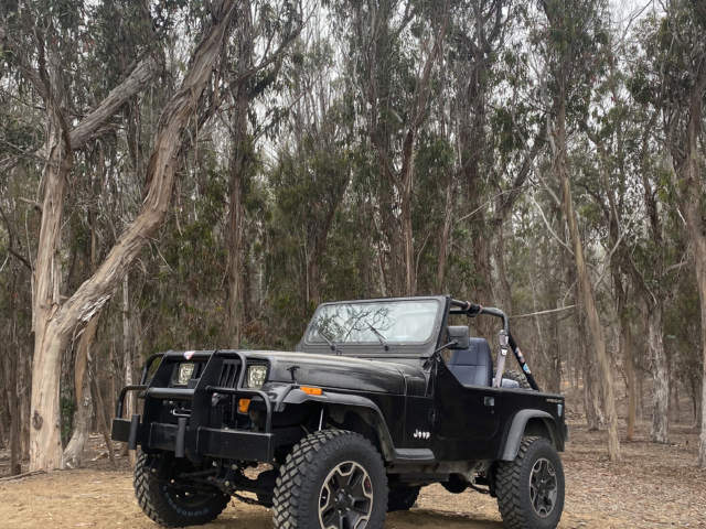 hunter beck 1991 wrangleryj 3