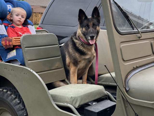 hunter guthrie 1949 cj-3a