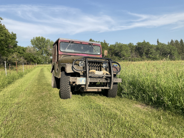 jacob david 1953 m38a1 2