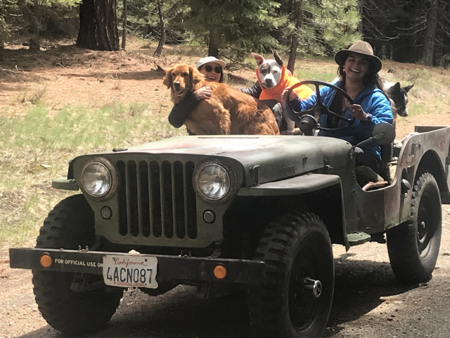 james dunsdon 1950 1 cj-2a