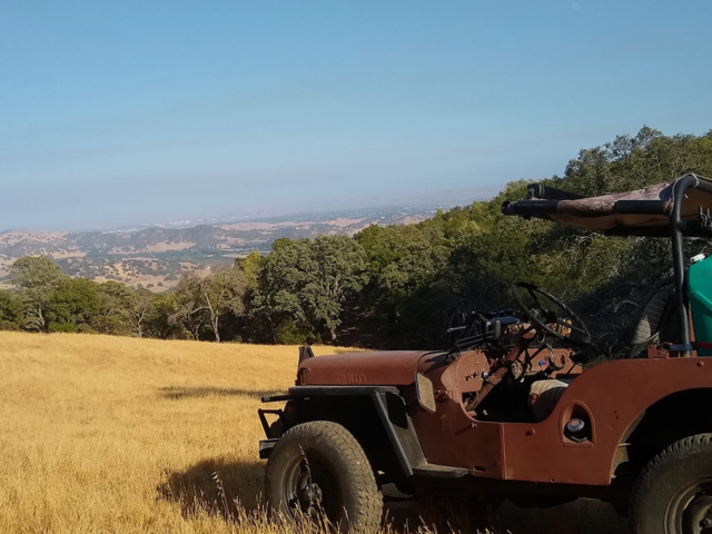 james rice 1951 cj-3a