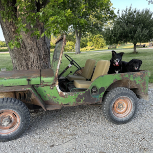 Jamey Wengler 1951 CJ 2A 3