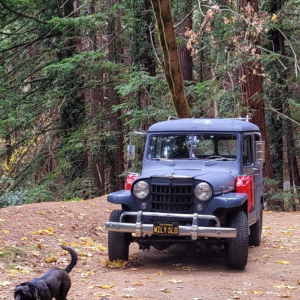 Jason Carmichael1953 WillysUtilityWagon
