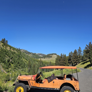 Jason Pall 1946 CJ 2A 1