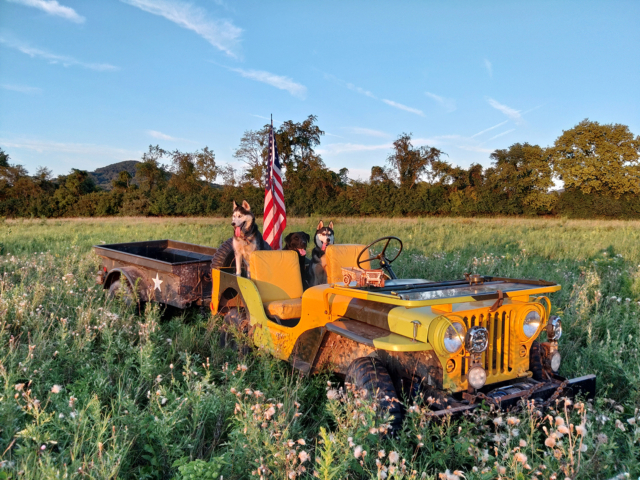 jason warren 1951 m38 1