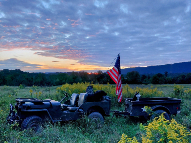 jason warren 1951 m38 4