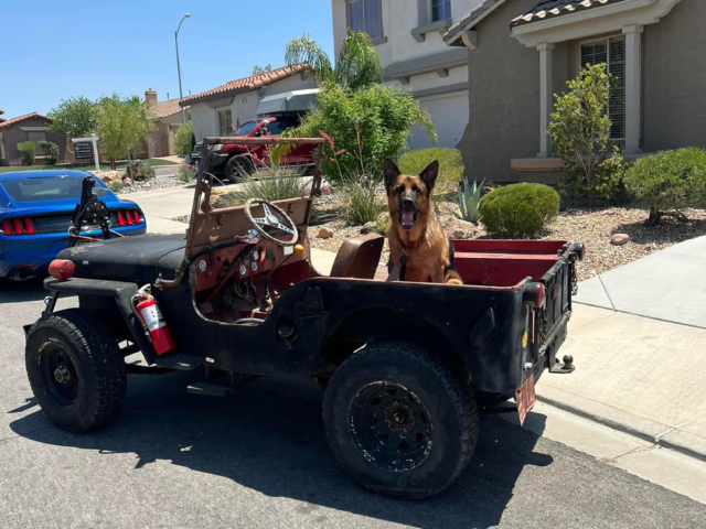 joe thompson 1946 cj-2a