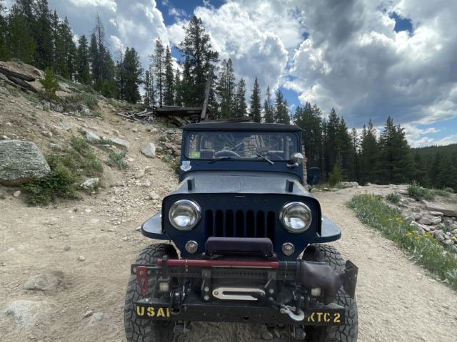 kris carlson 1955 cj-3b