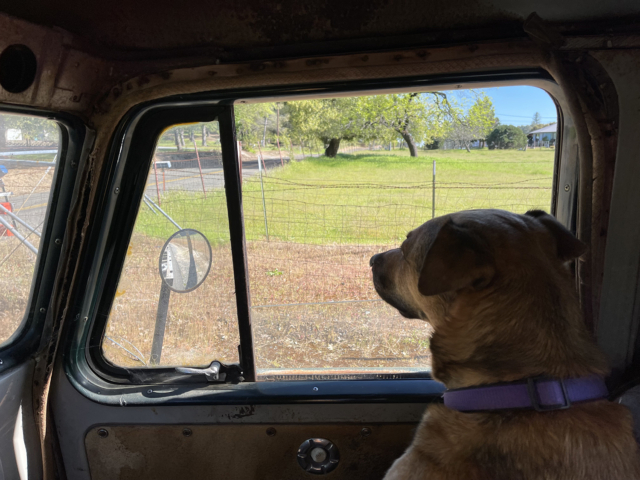 kurt evie davis 1948 statebedtruck 1