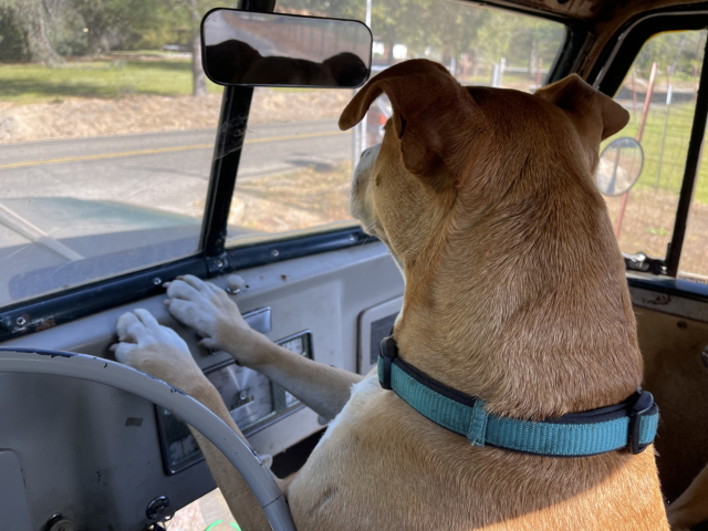 kurt evie davis 1948 statebedtruck 2