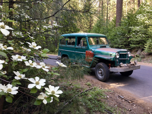 kurt evie davis 1948 statebedtruck 5