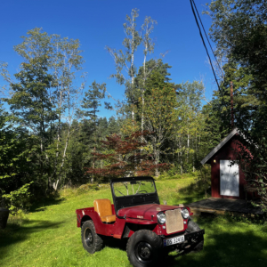 Marcus Ivanowitz Leela 1952 CJ 3A_3