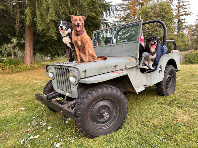 melissa castro 1947 cj-2a