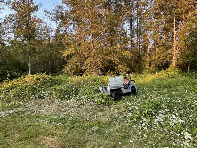 melissa castro 1947 cj-2a