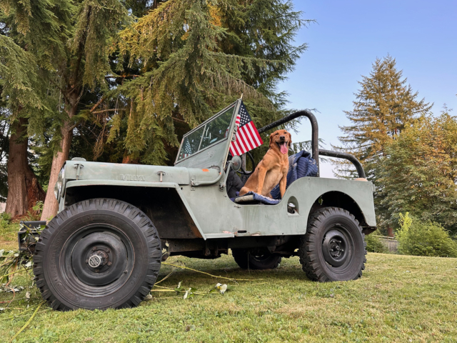 melissa castro 1947 cj-2a