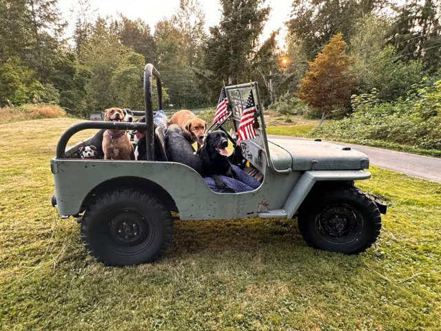 melissa castro 1947 cj-2a