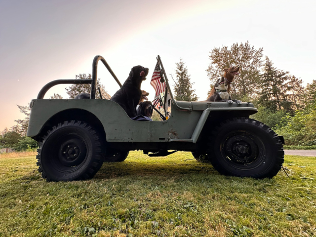 melissa castro 1947 cj-2a