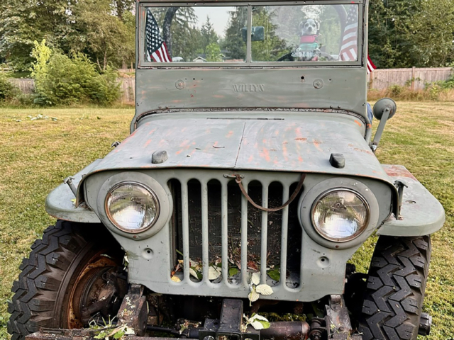 melissa castro 1947 cj-2a