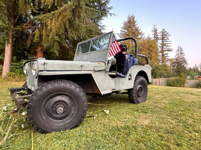 melissa castro 1947 cj-2a