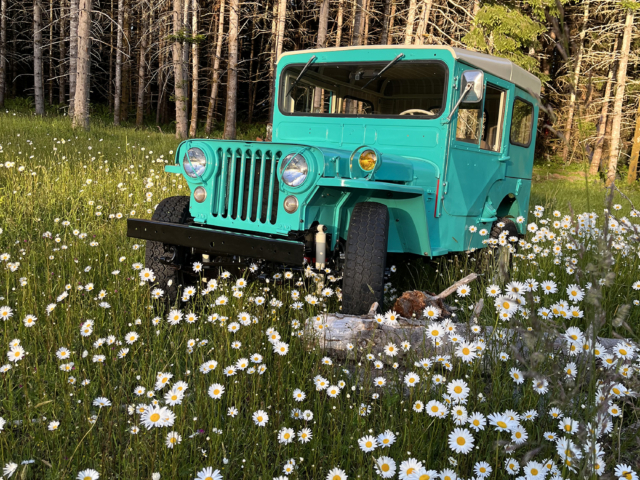 micah young 1950 m38 2