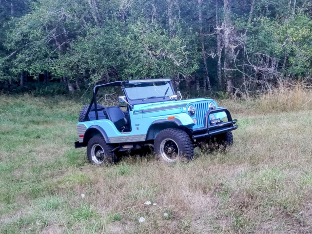 mike goff 1970 renegade 6 cj-5