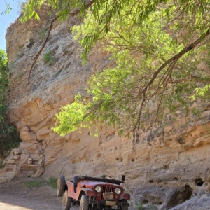 Mike-Morgan-1956-CJ-6_15