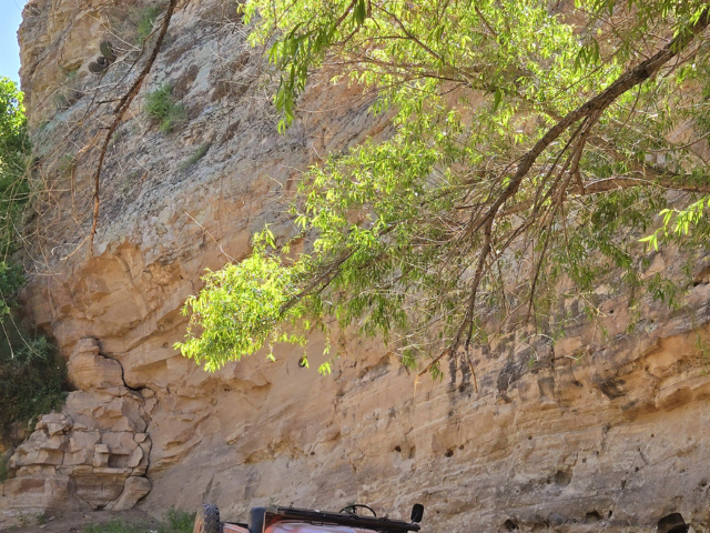 mike morgan 1956 cj-6