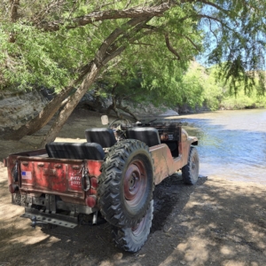 Mike-Morgan-1956-CJ-6_16