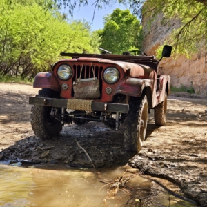 Mike-Morgan-1956-CJ-6_19