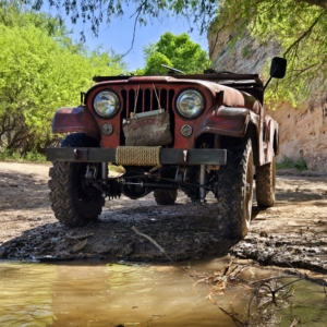 Mike-Morgan-1956-CJ-6_20