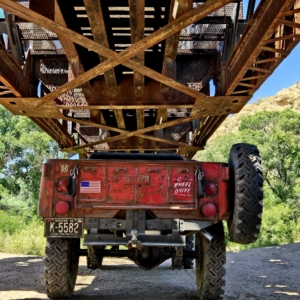 Mike-Morgan-1956-CJ-6_21