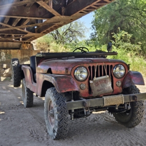 Mike-Morgan-1956-CJ-6_22