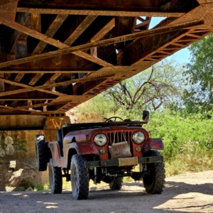 Mike-Morgan-1956-CJ-6_23