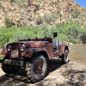 Mike-Morgan-1956-CJ-6_24