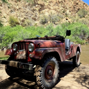 Mike-Morgan-1956-CJ-6_25