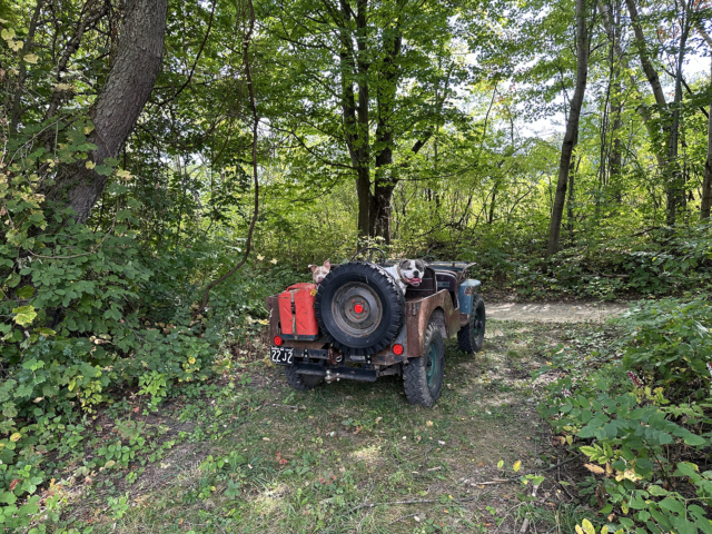 mike muller 1946 3 cj-2a