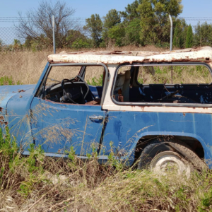 Nev Serra 1981 Commander 1