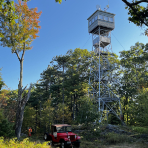 Peter Mellen 1956 CJ 5 3