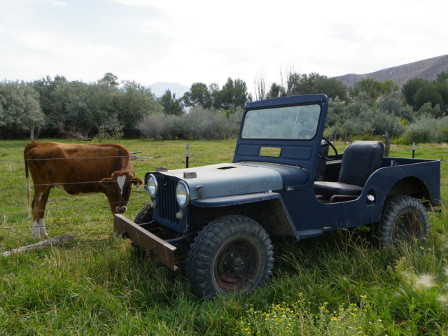 richard jones 1943 gpw 10