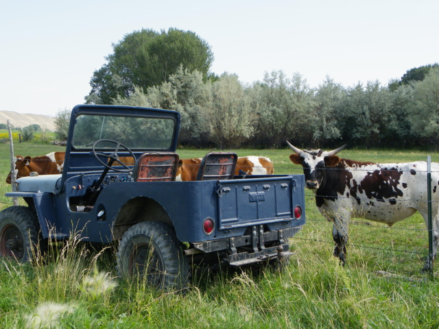 richard jones 1943 gpw 11