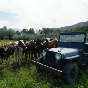 Richard Jones 1943 GPW_12