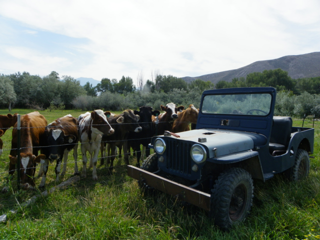 richard jones 1943 gpw 12