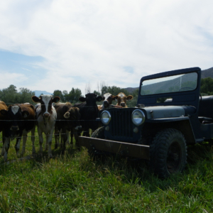 Richard Jones 1943 GPW_13