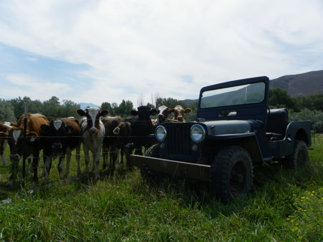 richard jones 1943 gpw 13