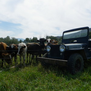 Richard Jones 1943 GPW_14