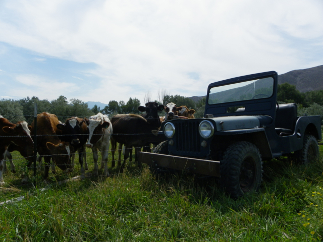 richard jones 1943 gpw 14