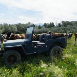 Richard Jones 1943 GPW_15