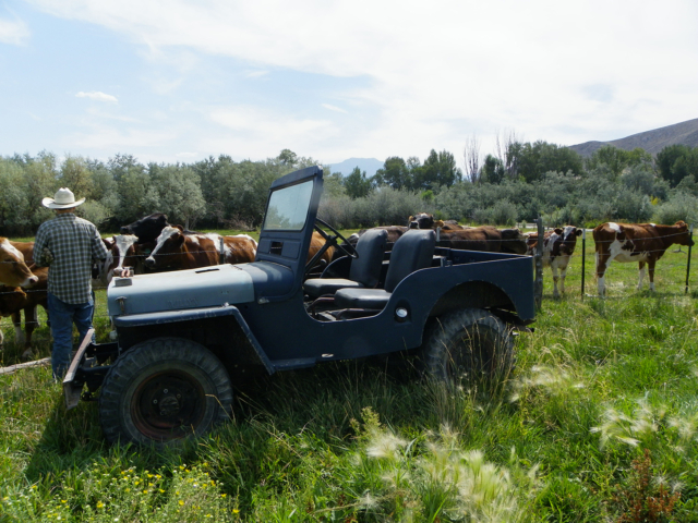 richard jones 1943 gpw 15